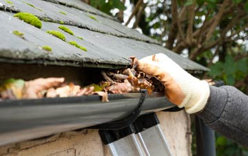 gutter cleaning East End